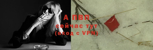 спайс Ладушкин