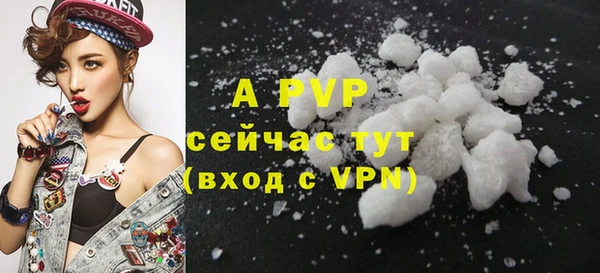 спайс Ладушкин