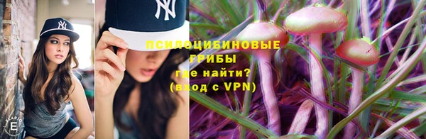 спайс Ладушкин