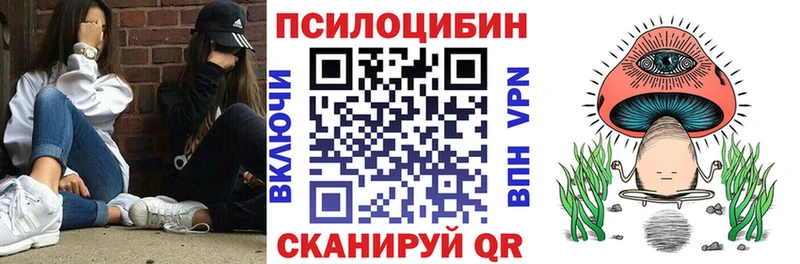 даркнет сайт  Медвежьегорск  Псилоцибиновые грибы Psilocybe 